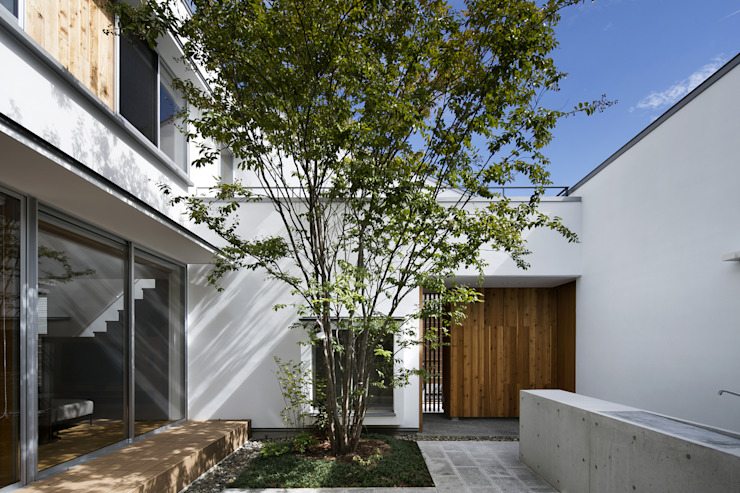 Cảnh Quan Minimalist Garden: Giải Pháp Làm Mới Không Gian Ngoài Trời Với Tối Giản Thực Dụng 2 Thiết kế cảnh quan Minimalist Garden với cây lớn làm trung tâm, bao quanh bởi tường trắng, đá lát và sàn bê tông theo phong cách tối giản.