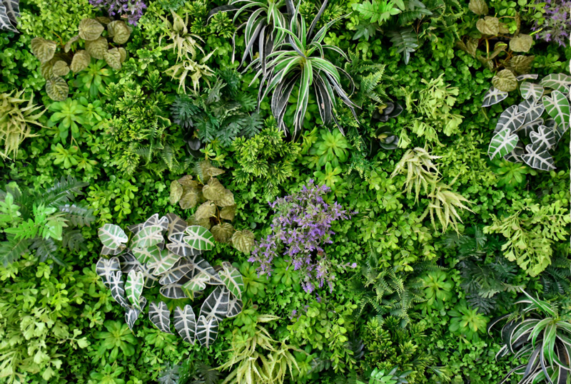 xu huong thi cong tuong cay gia 202426